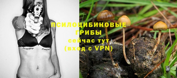 первитин Надым