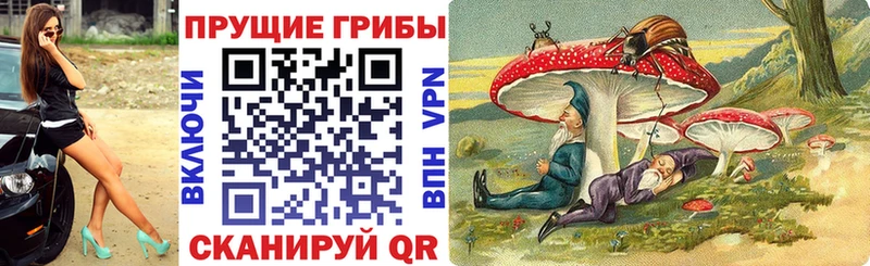 Псилоцибиновые грибы Psilocybe  дарнет шоп  Артёмовский 