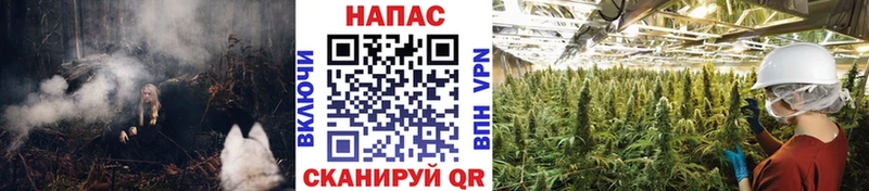 что такое наркотик  Артёмовский  Канабис сатива 